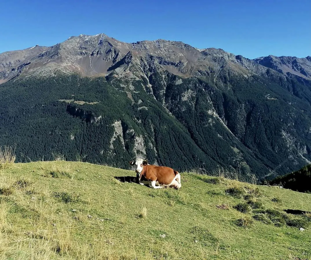 Appartamento Casa Carcentina Bormio