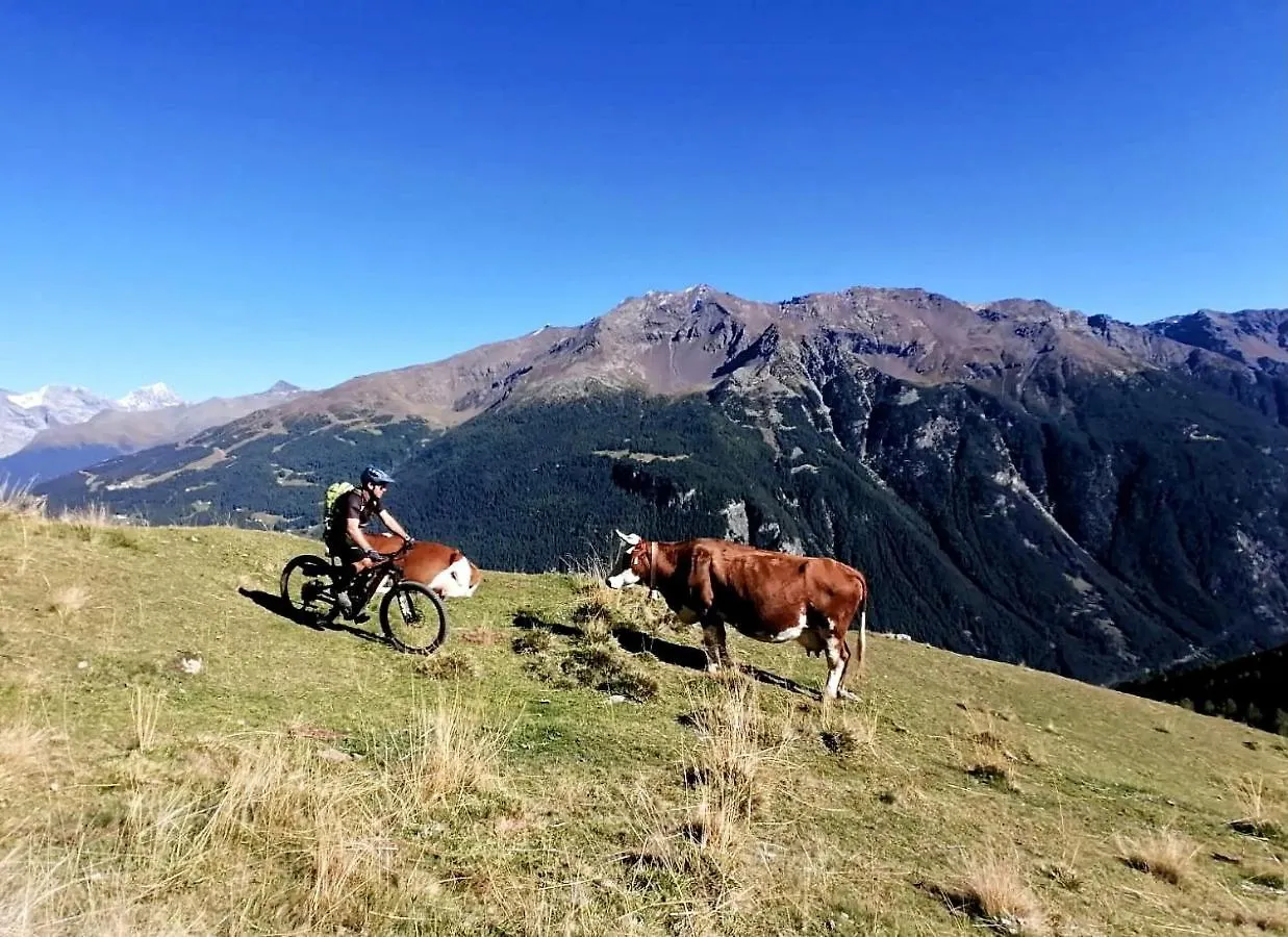 Apartmán Casa Carcentina Bormio 0*,